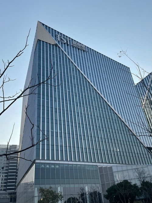 TST总部实地探访 员工办公如常，安保升级严控进出